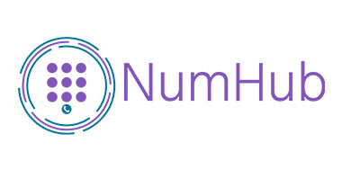NumHub-Logo NumHub-Logo